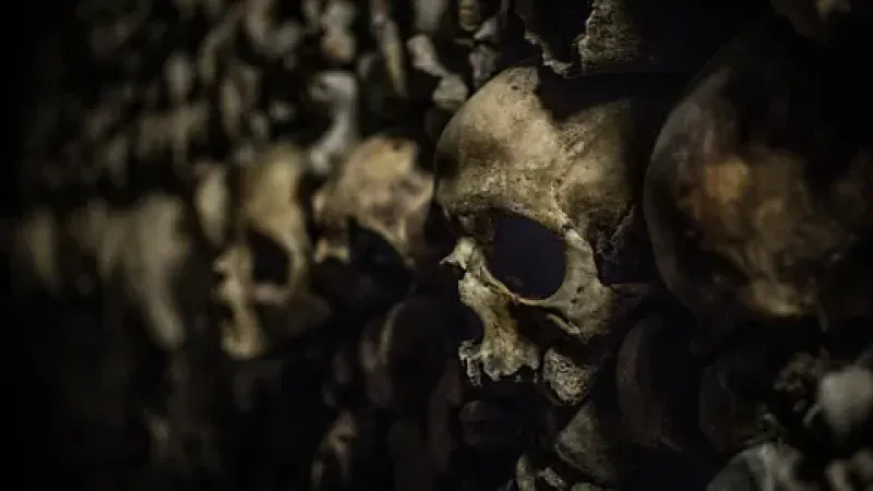 Kristof Bellens/Alamy Skulls in Paris catacombs