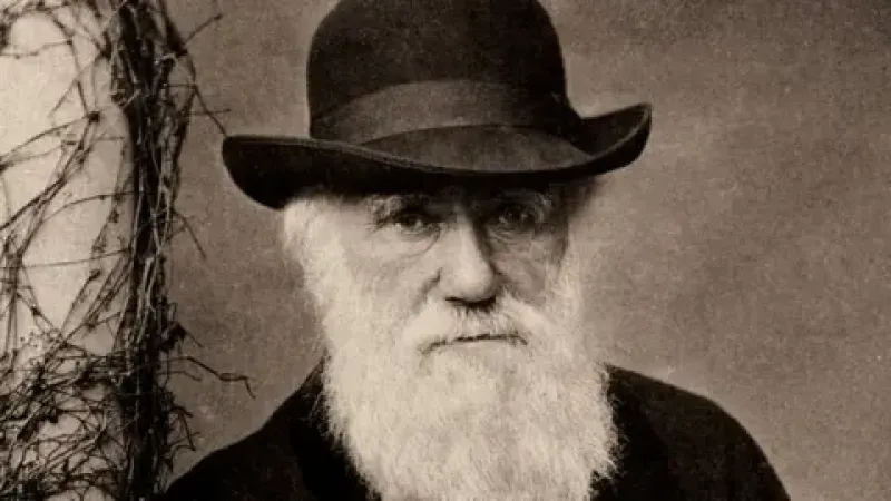 Cambridge University Library Charles Darwin's work on evolution theory by natural selection changed the way we think about the natural world