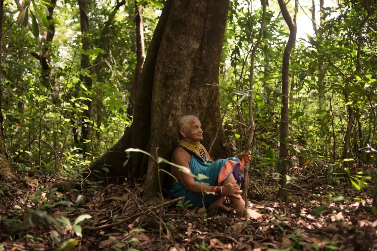 The woman who is bringing India’s forests back to life