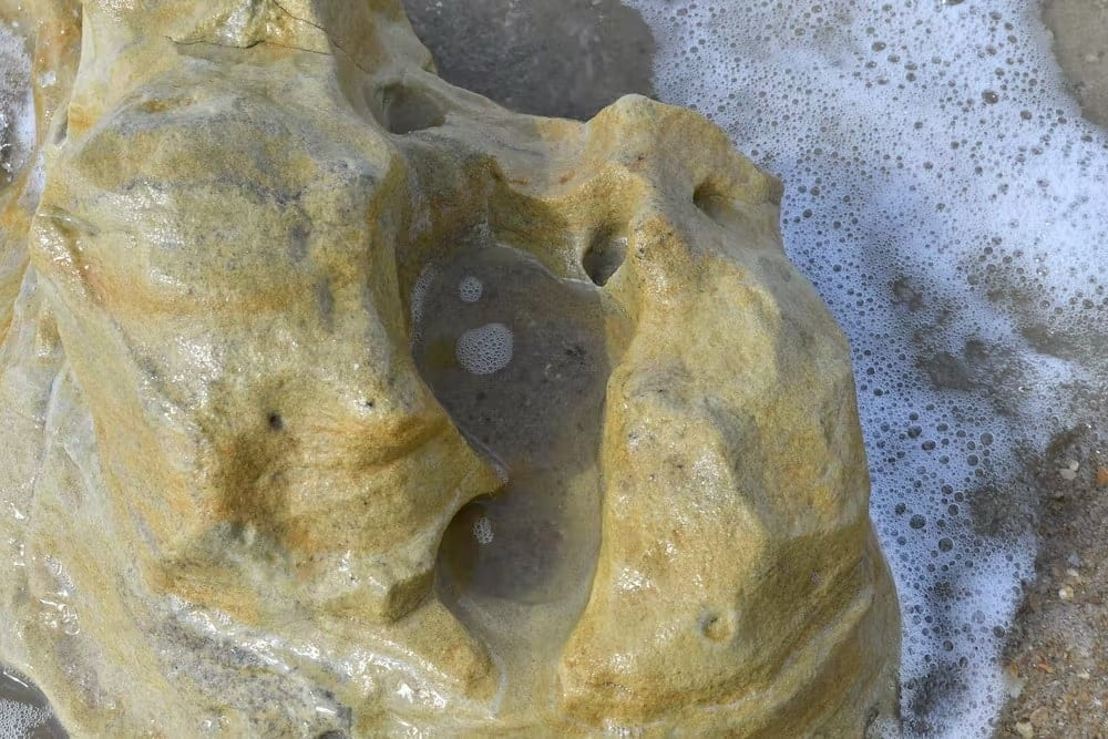 Neanderthal footprints in Spain could be 275,000 years old