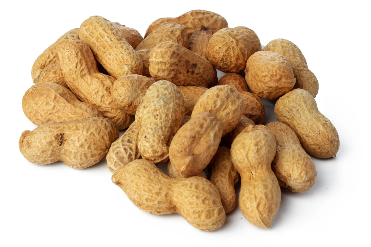 How trying to avoid peanut allergies made them worse