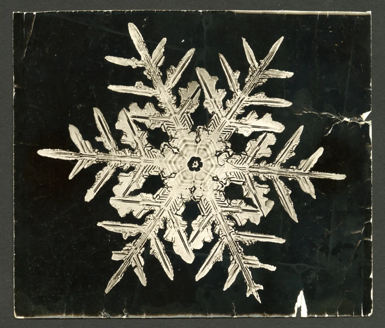 He invented a new way to take photographs of snowflakes