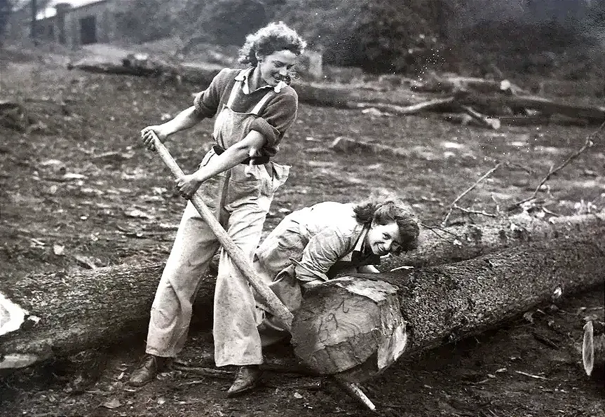 The Lumberjills were a female tree-cutting corps in the 1940s