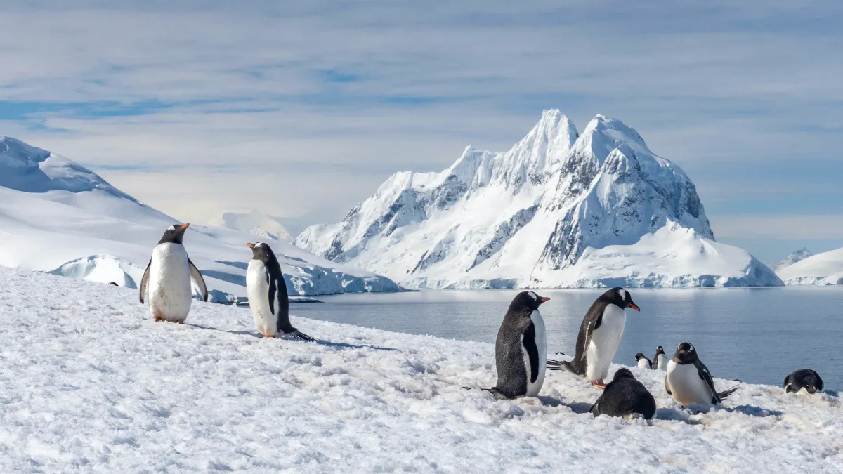 Strange radio signals detected from deep under Antarctica