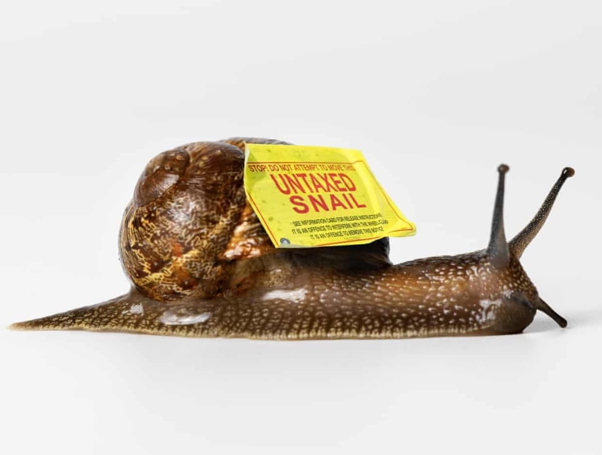 He turned office blocks into snail farms as a tax dodge