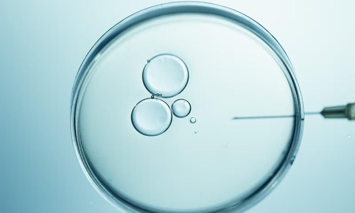 She paved the way for IVF technology by falling asleep