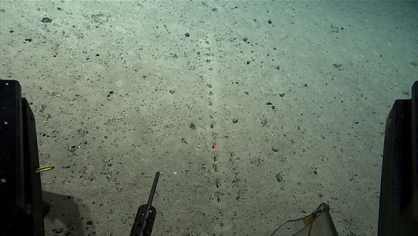 Scientists can't explain these holes in the ocean floor