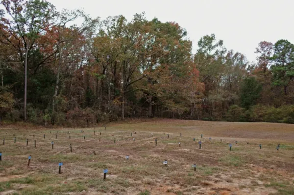 They were buried in a field and no one told their families