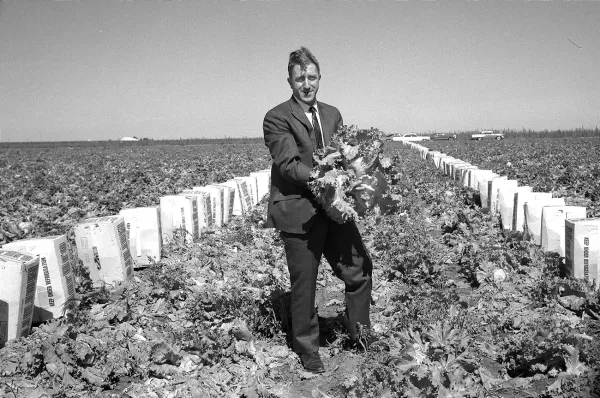 One man’s lifelong quest to create a lettuce cigarette