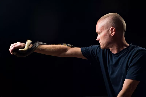 He let snakes bite him 200 times to create a better antivenom