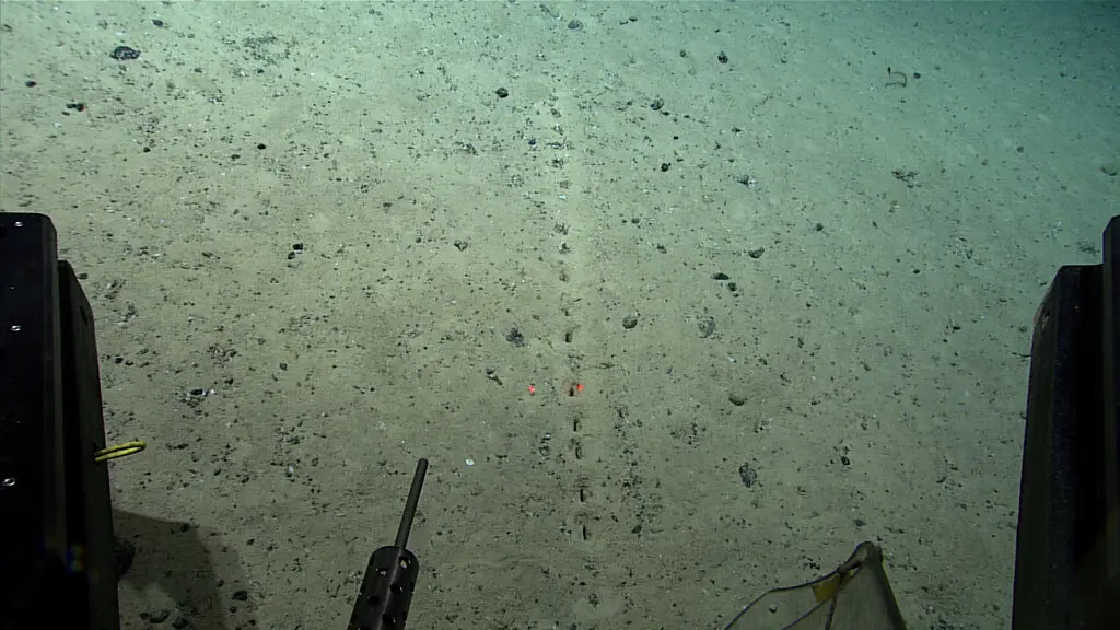 Scientists can't explain these holes in the ocean floor