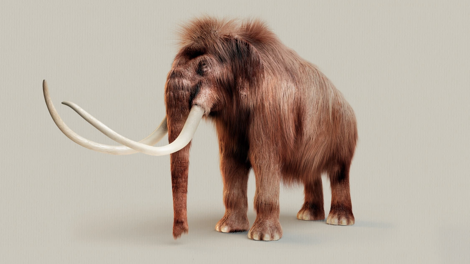 This company is trying to recreate extinct animals