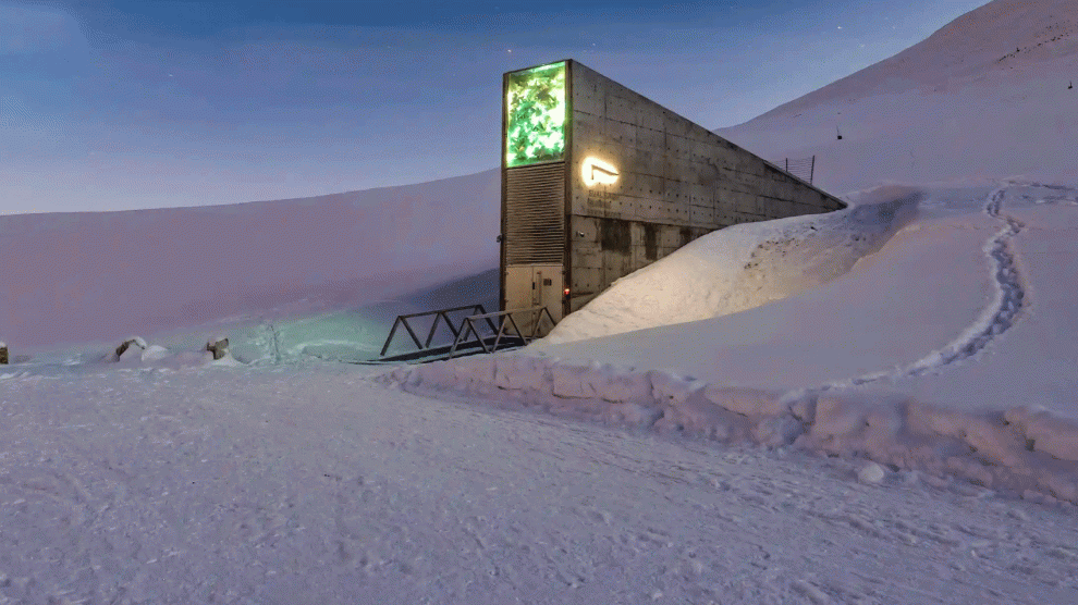 Inside the Arctic seed vault that could save humanity